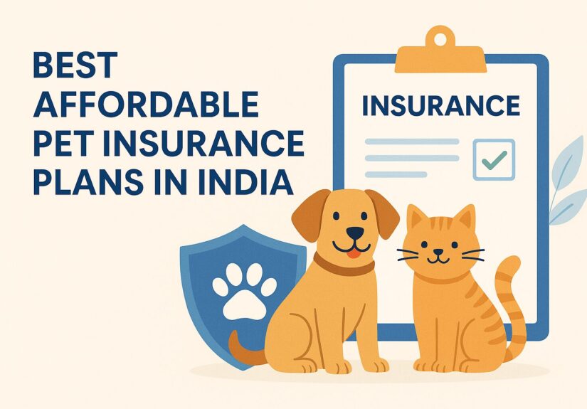 Choosing the Right Pet Insurance
