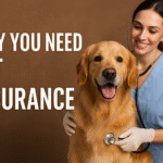 Golden retriever sitting calmly while a smiling female veterinarian in blue scrubs uses a stethoscope to check the dog’s chest, with the bold text “WHY YOU NEED PET INSURANCE” on the left side against a warm brown background.